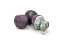 Closeup on rotten and moldy red plum fruits Royalty Free Stock Photo