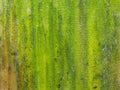 Closeup of rough green textured background and boke