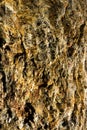 Closeup Of Rough Mineral Surface