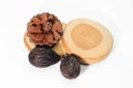 Closeup of round teak wood , Pine cone and dry seed of fox tail Royalty Free Stock Photo