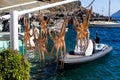 Closeup of a row of hanging octopuses drying under the sun at Santorini island in Greece Royalty Free Stock Photo