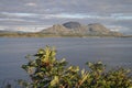 Rowan branched in the background of sea and mountains in Torget island in Norway