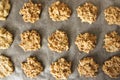 Closeup rows of homemade oatmeal cookies