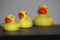 Closeup of rubber duckies Royalty Free Stock Photo