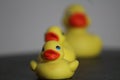 Closeup of rubber duckies Royalty Free Stock Photo