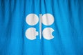 Closeup of Ruffled Organization of the Petroleum Exporting Countries Flag, OPEC Flag Blowing in Wind