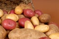 Closeup of russet, red and white potatoes spilling out of a bask Royalty Free Stock Photo
