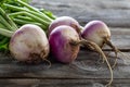 Closeup of rustic organic turnips for sustainable vegetarian farming