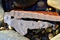 Closeup of rusty debris from old shipwreck along the coast of Gros Morne Royalty Free Stock Photo