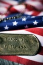 Text thank you veterans in a dog tag Royalty Free Stock Photo