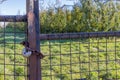 Closeup of a rusty metal farm gate closed with a chain and padlock, green grass and trees in the background Royalty Free Stock Photo
