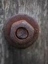 Closeup Rusty Nut on Wooden pole Royalty Free Stock Photo