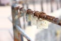 Closeup of rusty padlocks on a rusty railing. Royalty Free Stock Photo