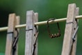 Closeup rusty peg spring and 3 wooden pegs