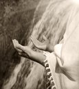 Man praying at the river Royalty Free Stock Photo