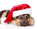 Closeup sad puppy with santa hat. isolated on white background Royalty Free Stock Photo