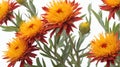 closeup of safflower flowers on plain white ai generated