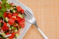 Closeup salad of fresh, finely chopped vegetables, cucumbers, tomatoes and onions with sunflower oil