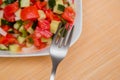 Closeup salad of fresh, finely chopped vegetables, cucumbers, tomatoes and onions with sunflower oil