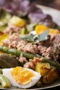 Closeup of salade nicoise