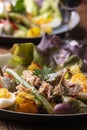 Closeup of salade nicoise