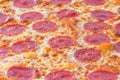 Closeup on salami slices on pizza