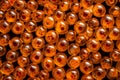 Closeup of the salmon red caviar Royalty Free Stock Photo