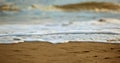 Closeup of salt water foam on the sand. Royalty Free Stock Photo