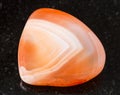 polished Carnelian (Cornelian) rock on black