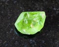 Unpolished Olivine Peridot, Chrysolite on black