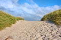 Closeup of a sand path with lush green grass growing on the west coast beach of Jutland, Denmark. Beautiful blue skies Royalty Free Stock Photo