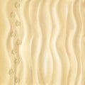 Closeup of sand pattern of a beach in the summer. Clear deep footprints on sand. Track. Overhead view. Texture of sand Royalty Free Stock Photo