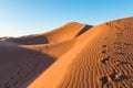 Closeup of sand ripples and tracks on sand dunes in a desert against  clear blue sky Royalty Free Stock Photo