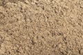 Closeup of sand. Sand texture