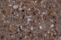 Closeup Sand Texture Background with Fine Grains and Sea Shells Royalty Free Stock Photo