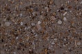 Closeup Sand Texture Background with Fine Grains and Sea Shells Royalty Free Stock Photo
