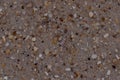 Closeup Sand Texture Background with Fine Grains and Sea Shells Royalty Free Stock Photo