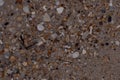 Closeup Sand Texture Background with Fine Grains and Sea Shells Royalty Free Stock Photo