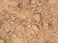 Closeup Sand Texture , Bulding Material for Construction in Thailand Royalty Free Stock Photo