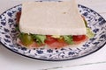 Closeup of a sandwich with cherry tomatoes lettuce and tuna in a plate Royalty Free Stock Photo