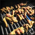 Satay on grill