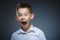 Closeup Scared and shocked little boys. Human emotion face expression Royalty Free Stock Photo