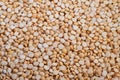 Closeup scattered yellow split peas texture, visual for artisan miller planning smallbatch milling, warm natural light, shallow Royalty Free Stock Photo