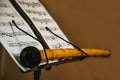 Closeup scene of an oriental musical instrument Ney, stays on the music sheet stand with notes, isolated, mystic scene Royalty Free Stock Photo
