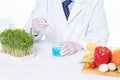 Closeup of a scientist adding toxic substances to pea sprouts in a laboratory