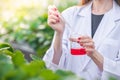 closeup scientist discover liquid chemical formula extract from plant work in organic argriculture fram Royalty Free Stock Photo