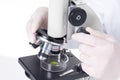 Closeup of a scientist examining a leaf under a microscope in a laboratory