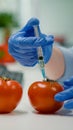 Closeup of scientist injectinging tomato with genetic liquid using medical syringe