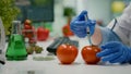 Closeup of scientist injectinging tomato with genetic liquid using medical syringe