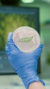 Closeup of scientist woman holding in hands petri dish with vegan beef meat Royalty Free Stock Photo